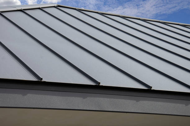 Best Roof Installation  in Le Center, MN